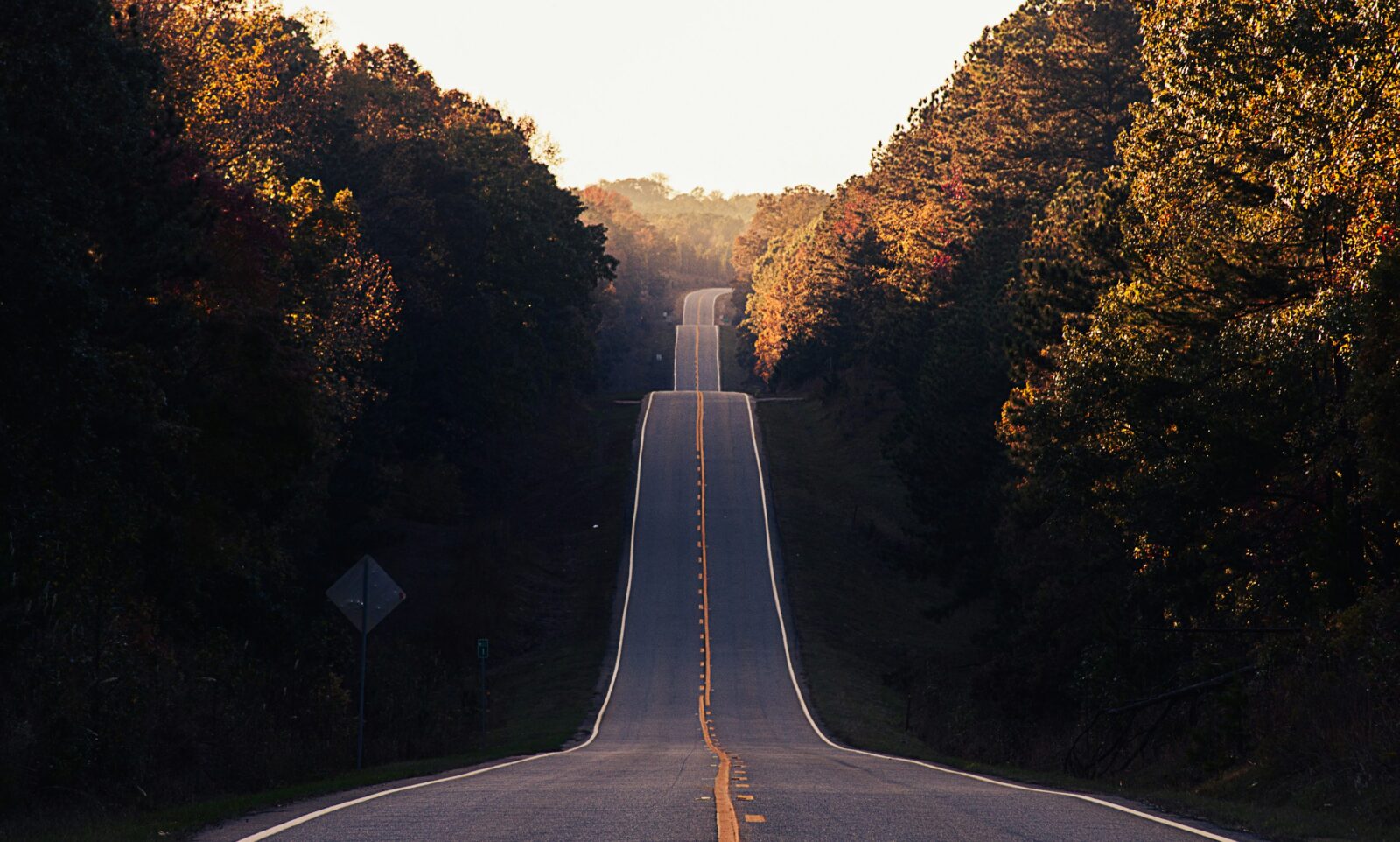 A hilly highway runs through a lush forest and curves into an area lit by a sunset.